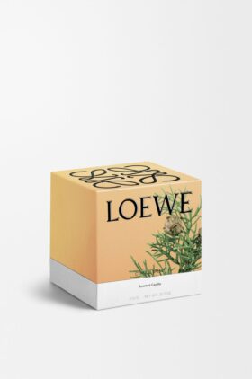 Vela «Medium Bolas de cipreste»