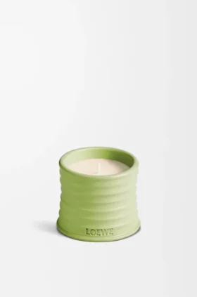 Vela Pequena de Pepino