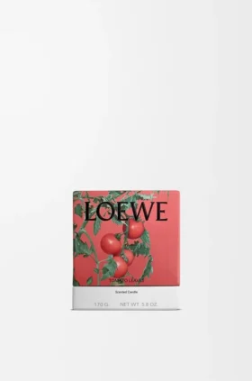 Vela pequena «Folhas de tomate»