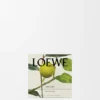 Vela perfumada Midi Earl Grey Vela perfumada Midi Earl Grey