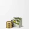 Vela perfumada Midi Earl Grey Vela perfumada Midi Earl Grey