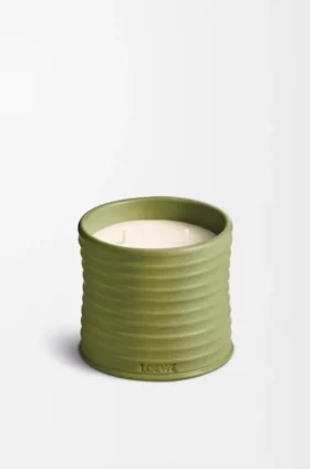 Vela Pistacchio Média