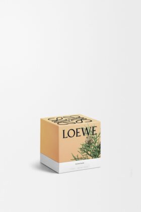 Vela «Small Bolas de cipreste»